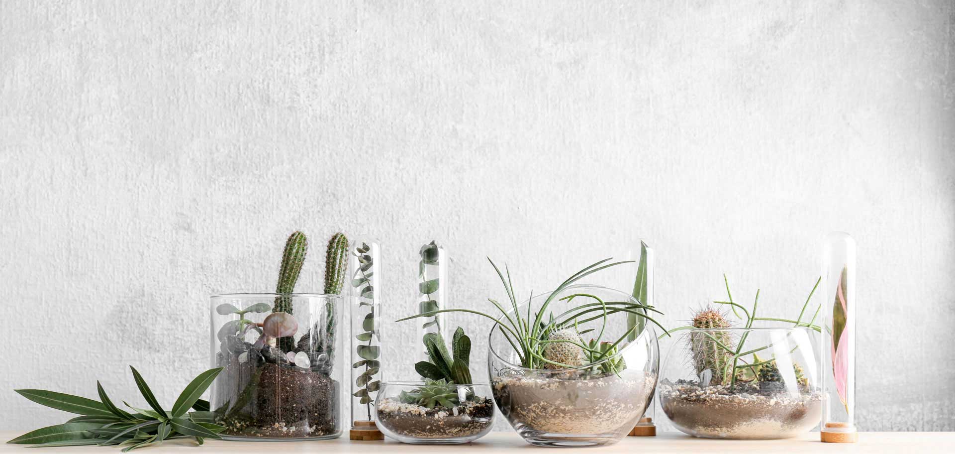 Green plants