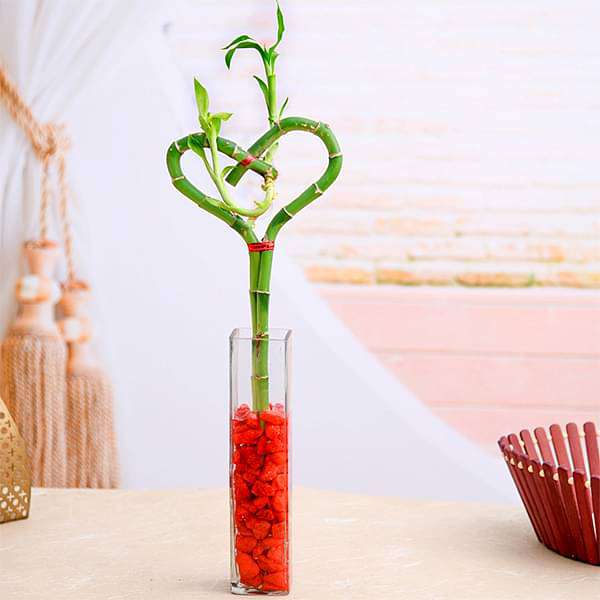 Heart Arrangement Lucky Bamboo in a Glass Vase with Pebbles